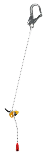 L052DA-GRILLON-MGO_LowRes.jpeg