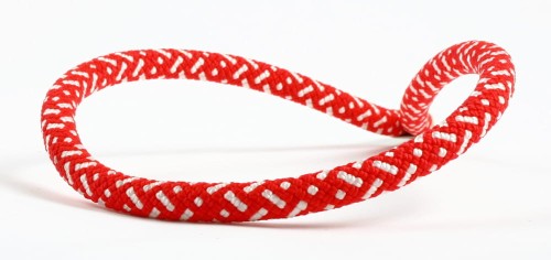 344ec19bac5175ac0ad41f656037259e