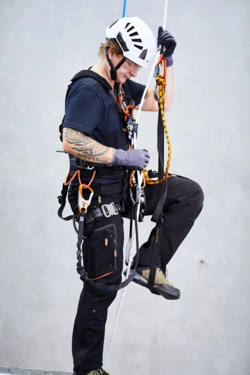 294cc5a665a7896946fc88769b65dea7