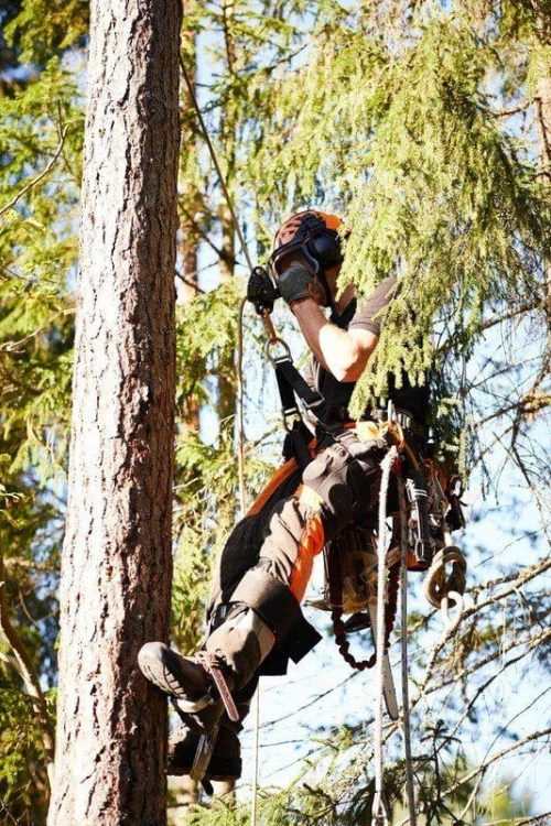 621aad80e041584ee793f190994d5163