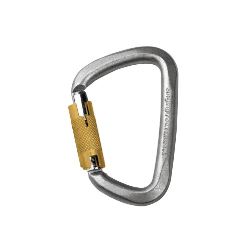 ca_d_steel_triple_lock.jpg