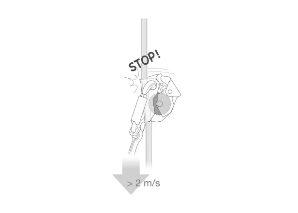 asap (4).webp