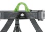 C029AA00-PANDION-focus-2_LowRes.jpeg