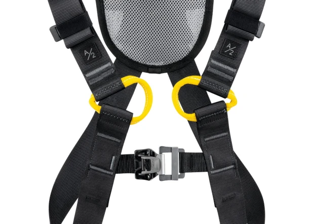 C073CA00-NEWTON-FAST-EUR-focus-1_LowRes.jpeg