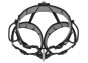 C038FA-FALCON-MOUNTAIN-focus-2_LowRes.jpeg