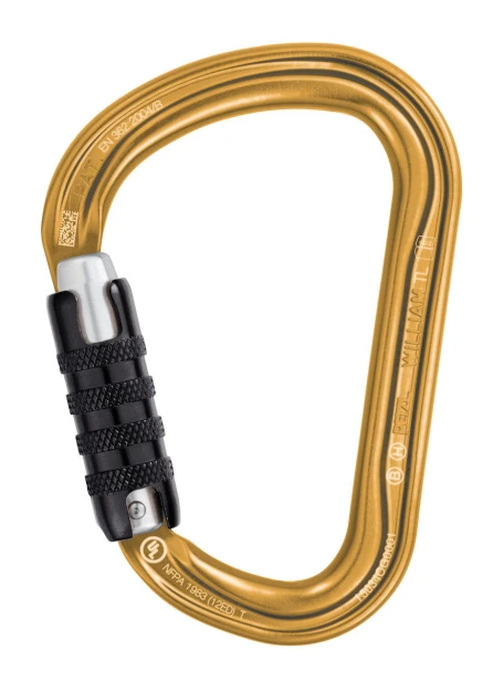 M36A-TLY-WILLIAM-TL-GOLD_LowRes.jpeg